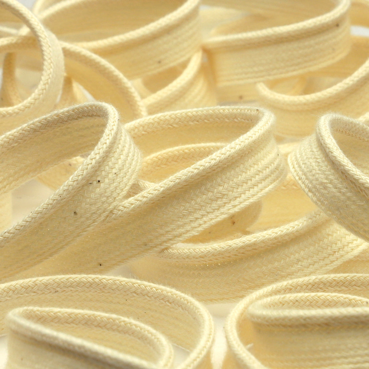 オーガニックコットンパイピング（FY-19212-1）